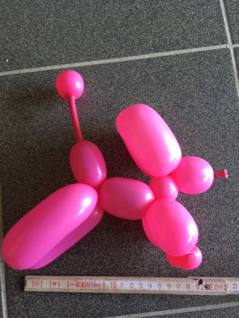 Example balloon dog GWR